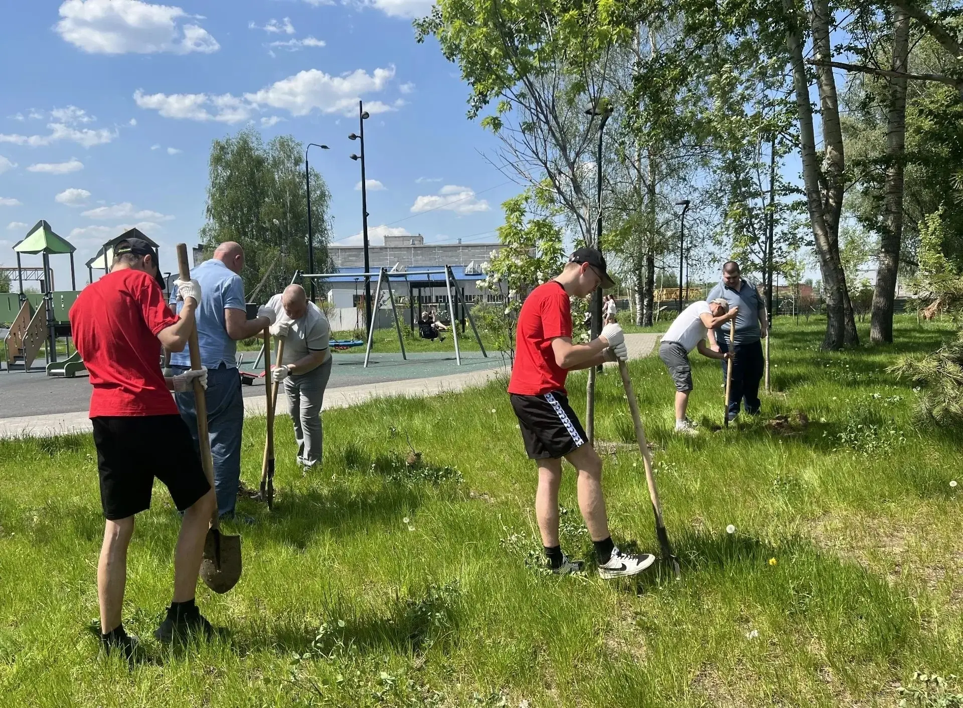 Более 30 плодовых деревьев высадили в Московском районе 🌳 
 
Увидеть молодые деревца можно в сквере