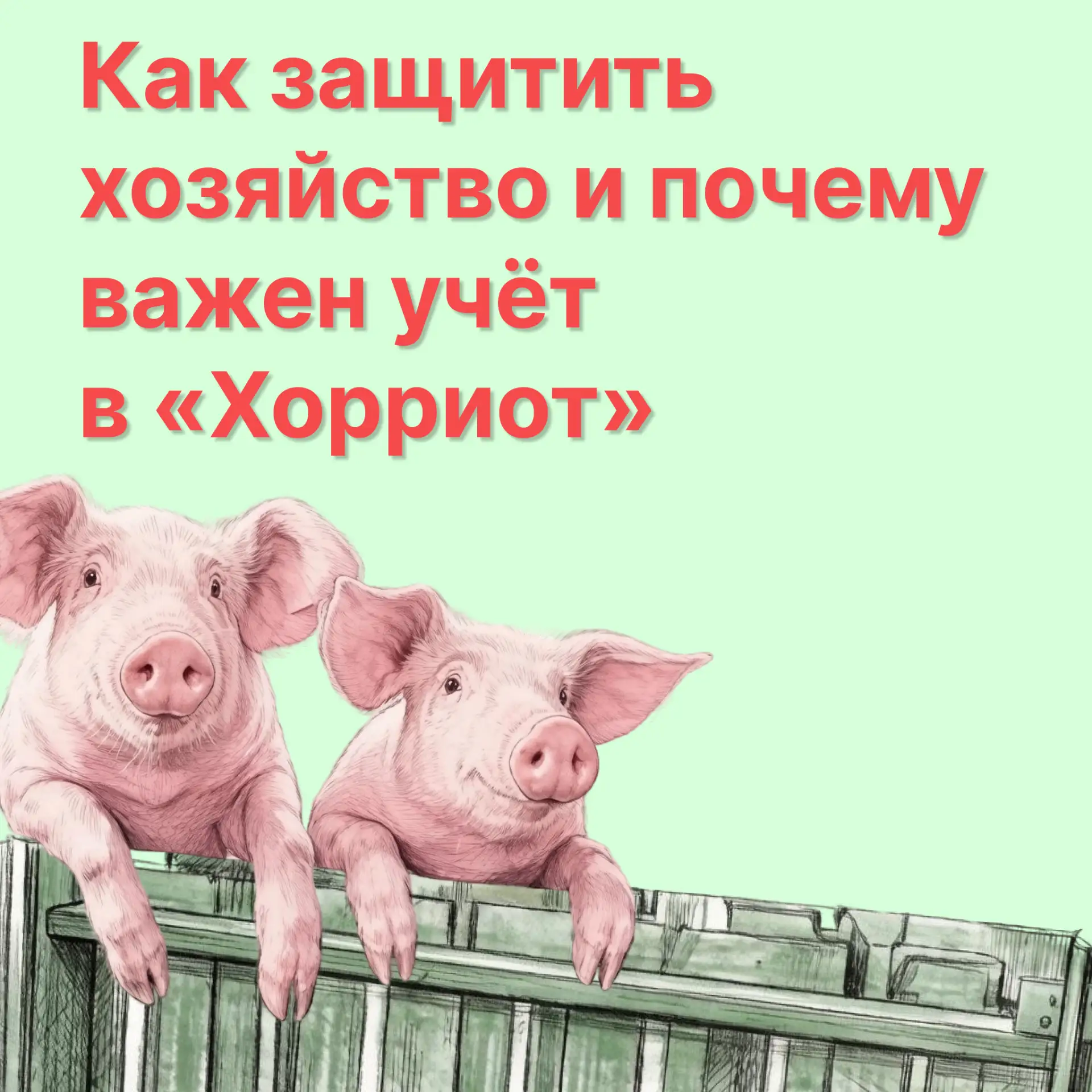 В Заводоуковском округе продолжается работа по профилактике заболеваний животных! 🐷 

Африканская ч