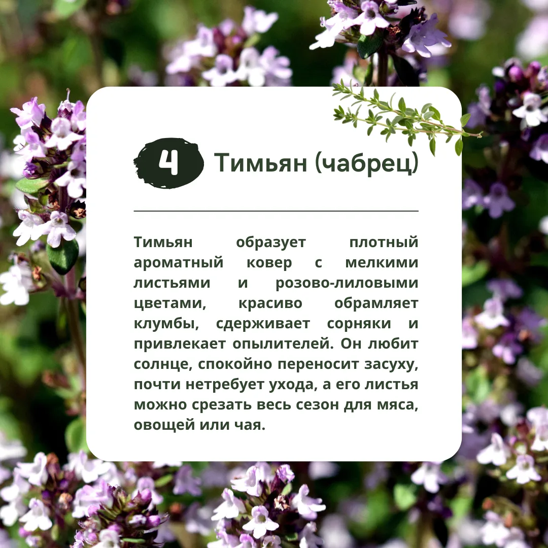Изображение 5 к публикации «Идеи Вашего Дома»