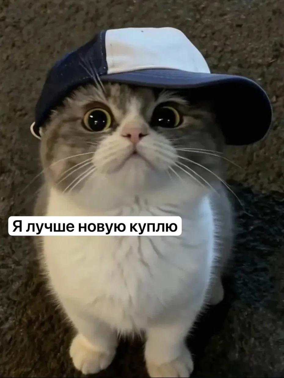 🧢 Забытая в Шереметьево кепка обошлась почти в 10 тысяч рублей