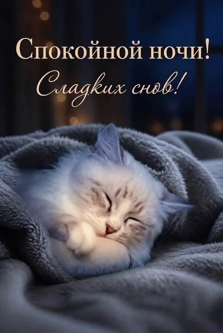 Подписаться