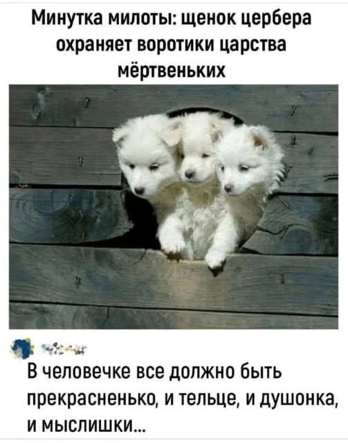 Подписаться
