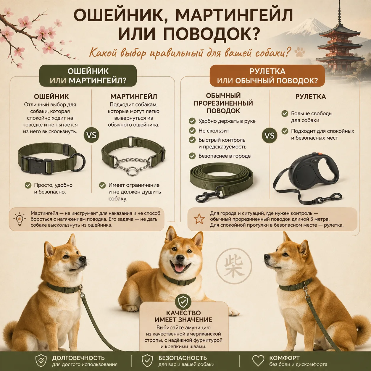 ### Ошейник или мартингейл? Рулетка или обычный поводок? 🐶