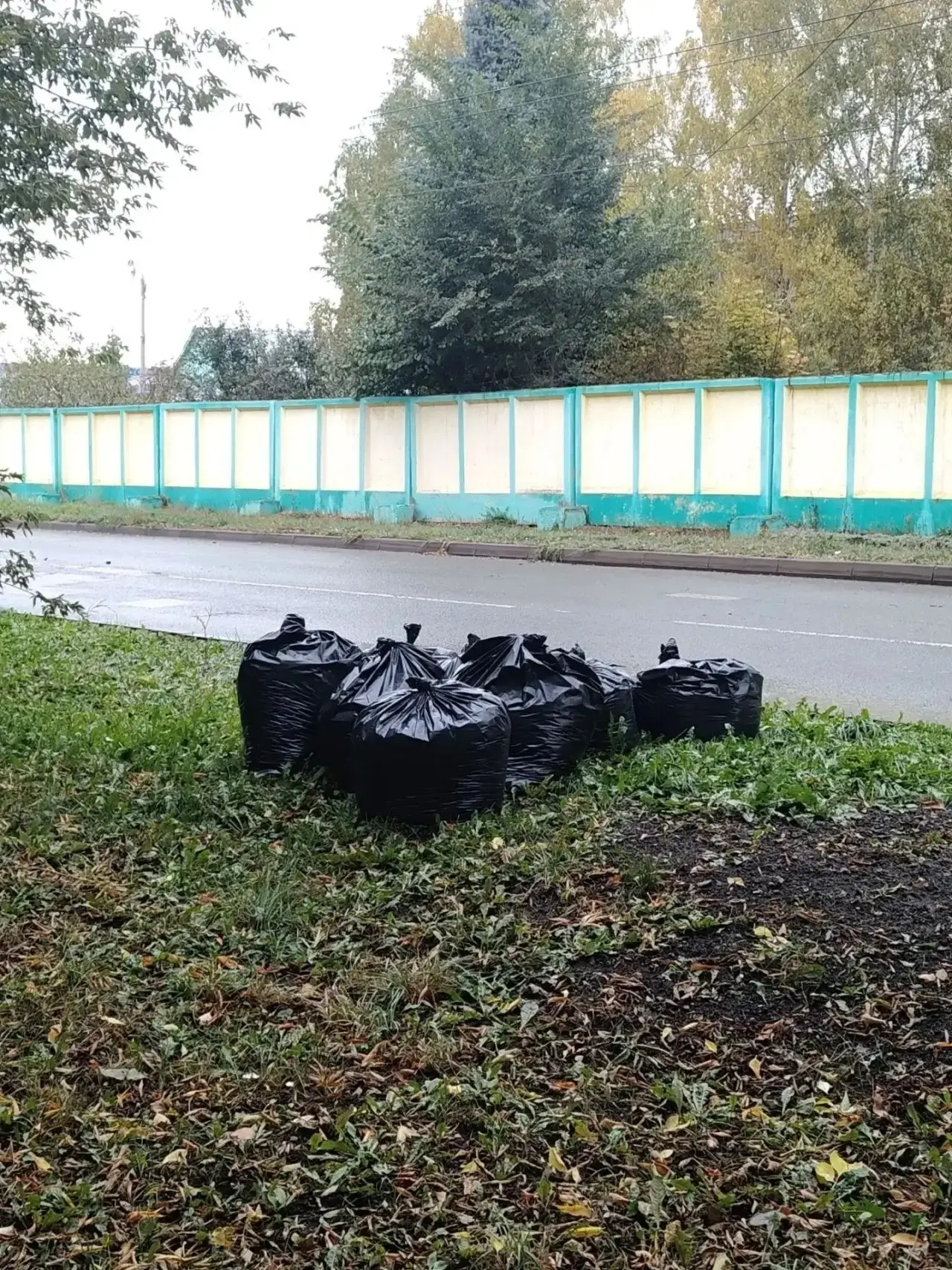 Сотрудники спортивных школ Салавата вышли на субботники.