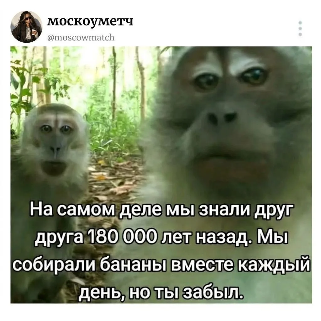 москоуметч