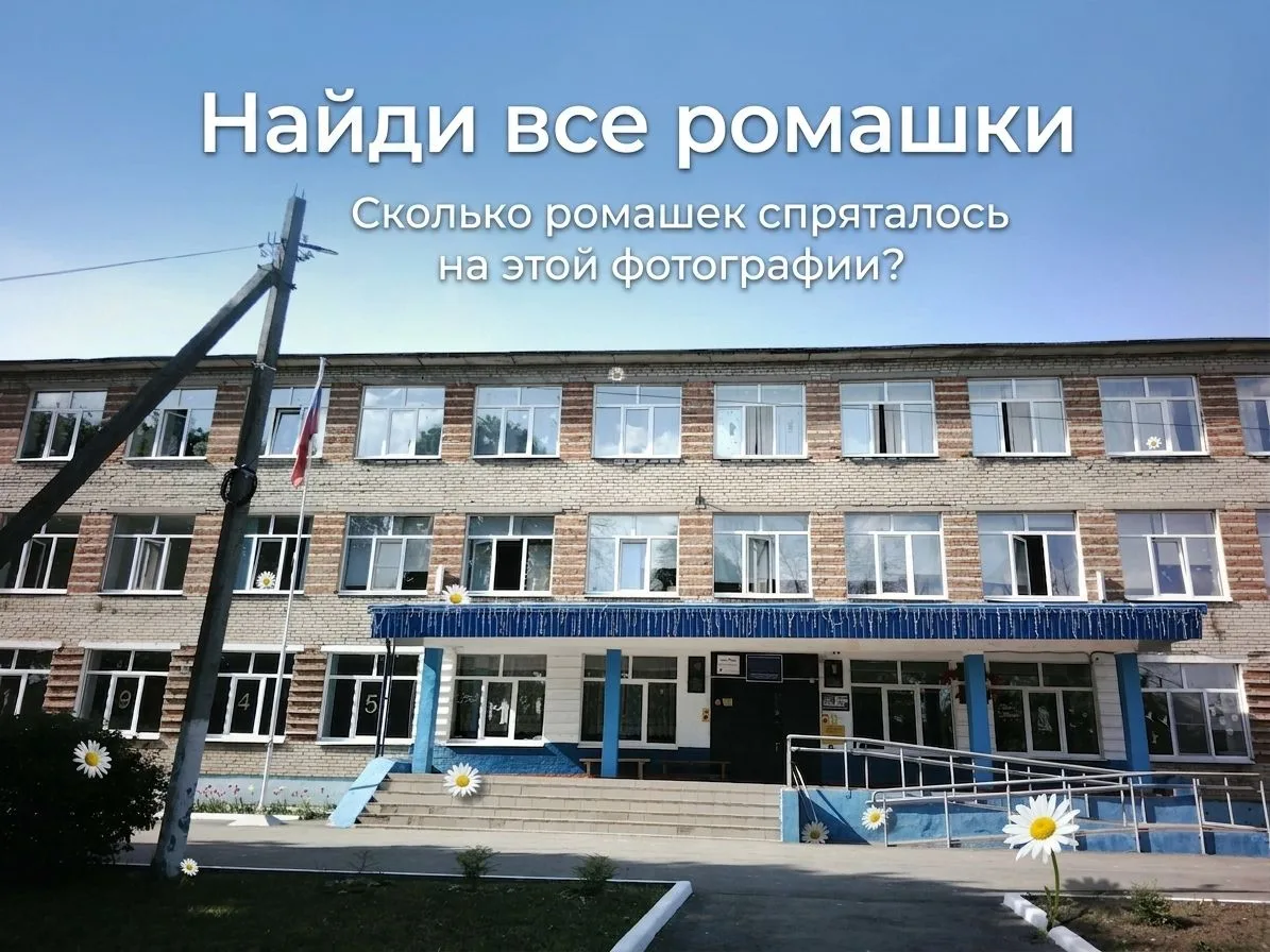 🌼 ИГРА ДНЯ! Ко Дню семьи, любви и верности.
Проверяем вашу внимательность.
Сколько ромашек спрятано