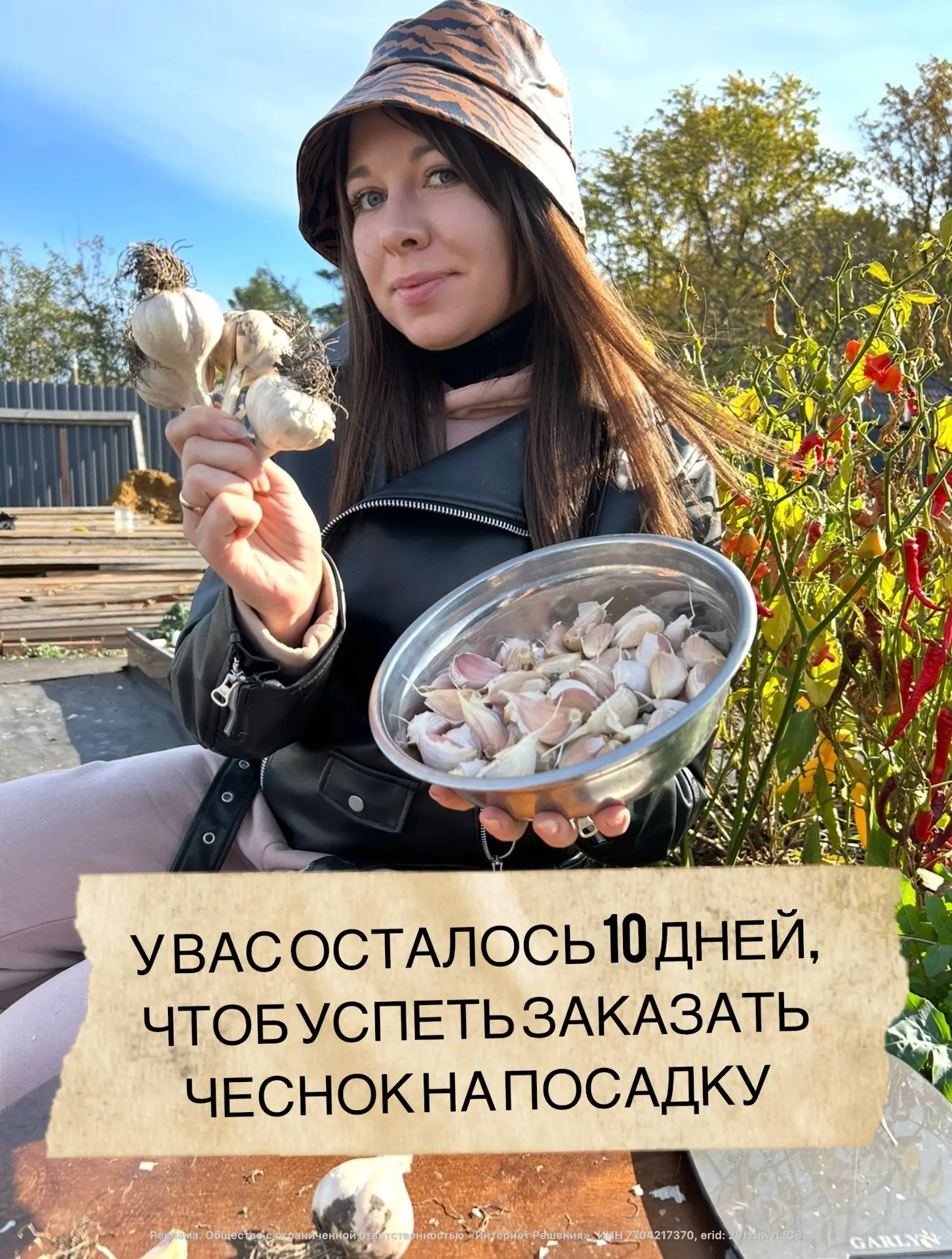 Много соров чеснока я перепробовала, но фаворитом является всеми любимая Любаша!