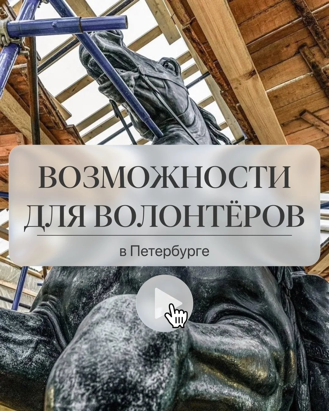 Приюты для животных, музеи, экопроекты или спортивные события — что вам ближе всего?