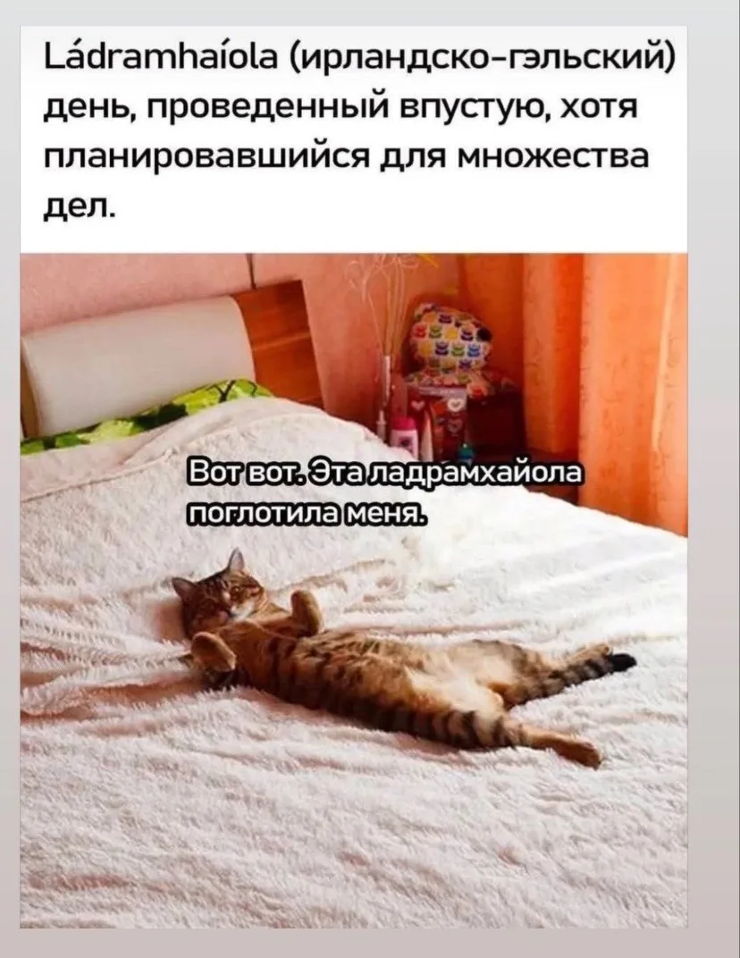 Температура зашкаливает так, что и двигаться не хочется