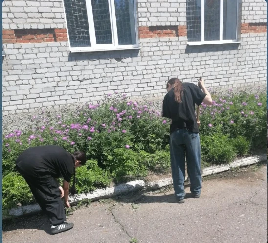 2 июня в нашей школе начала работать трудовая бригада при центре трудовой адаптации Ост...