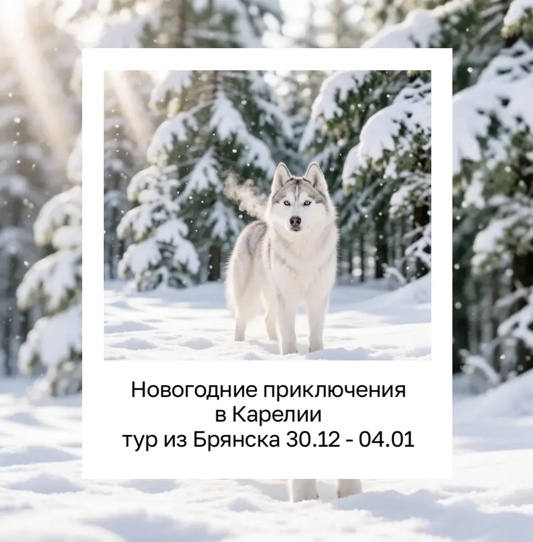 Новогодние приключения в Карелии из Брянска🔥