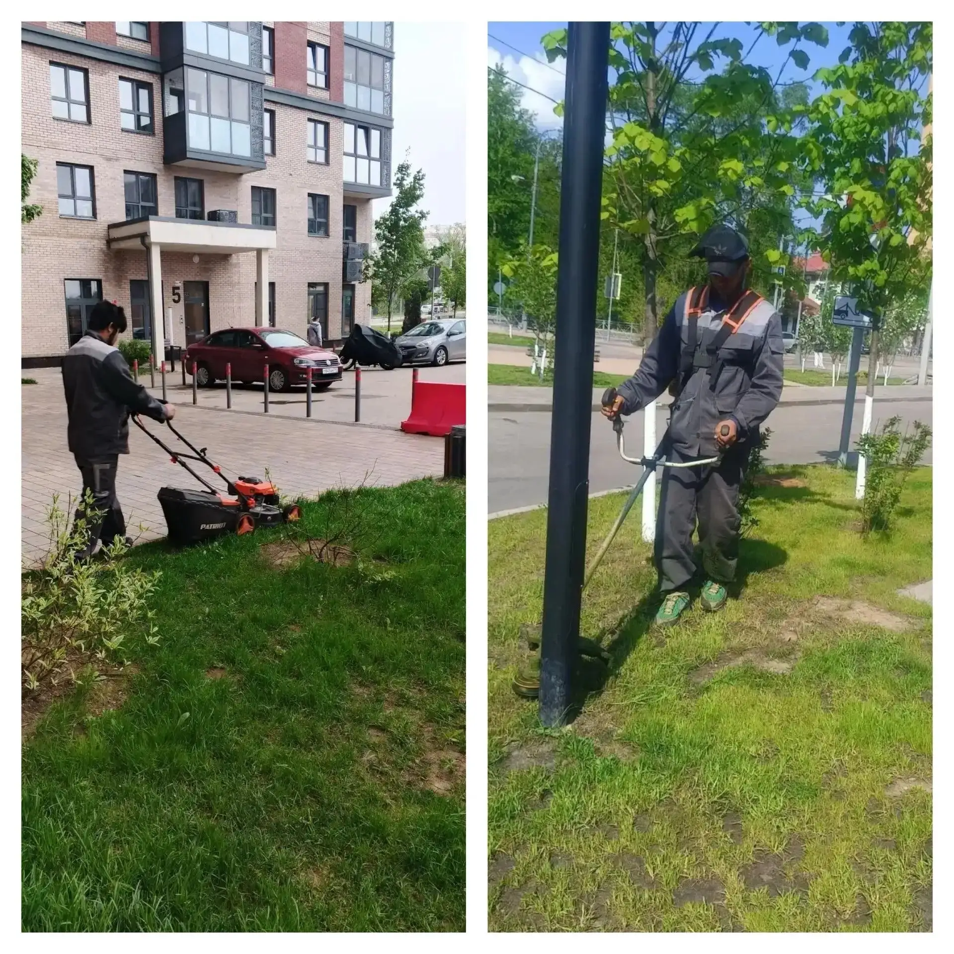Дайджест за неделю