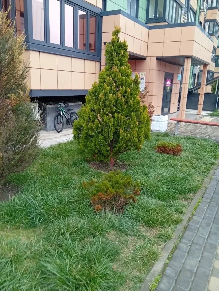 Уважаемые  жители наших МКД!  Делимся фотоотчетом📸 об уборке по адресу: ул.Ленина,б-р Босфорский   ✅