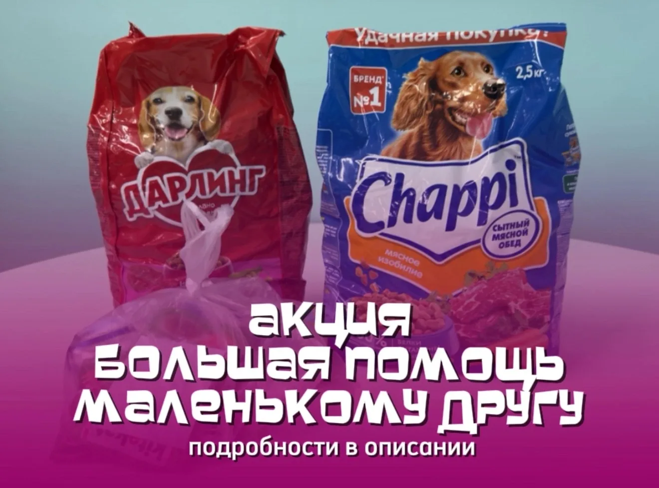 Ко Всемирному дню защиты животных — собираем помощь для хвостатых😻