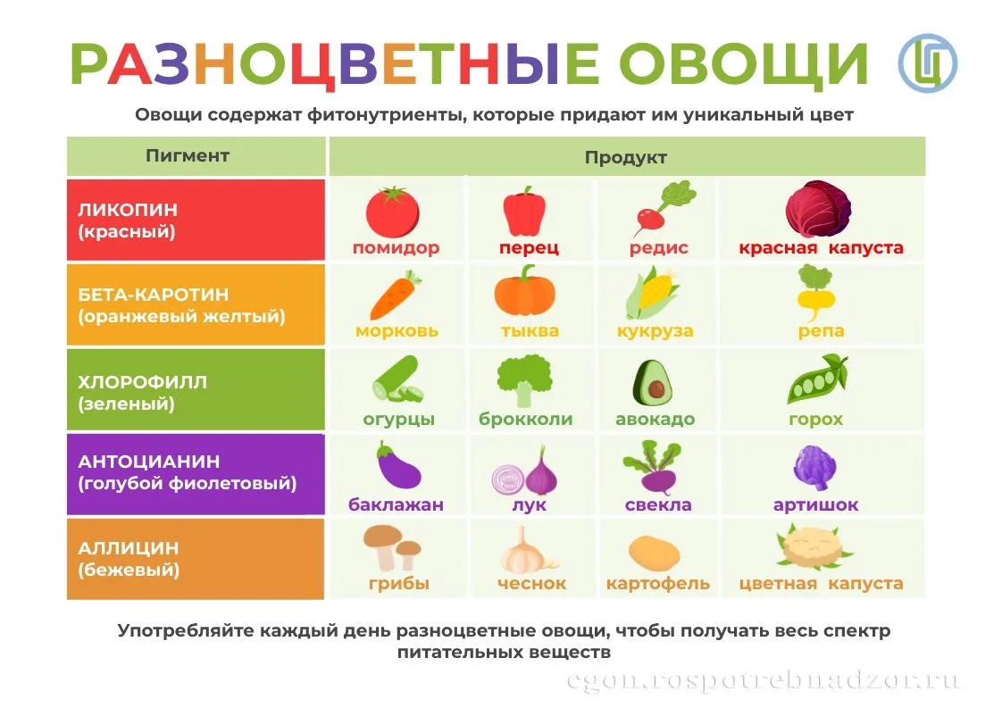 Радуга в твоей тарелке: что такое фитонутриенты?