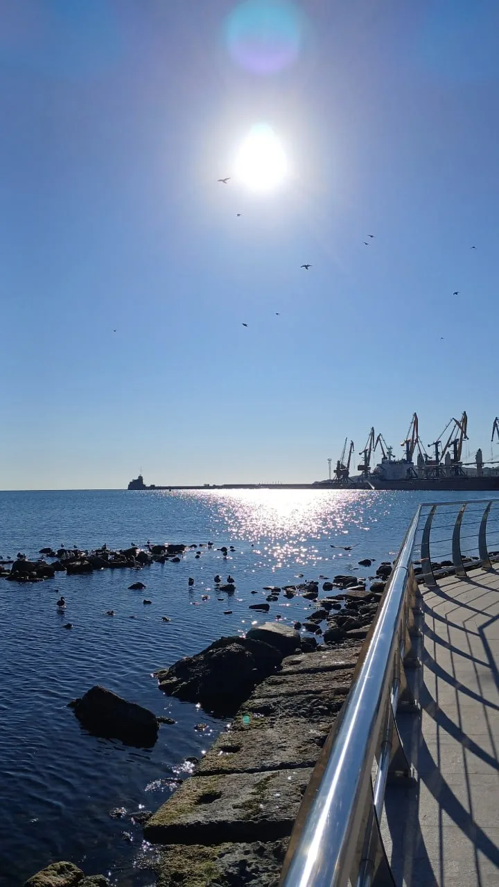 💙 доброе утро, Феодосия!