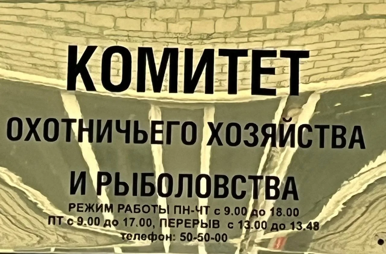 Комитет охотхозяйства предложил внести изменения в Правила охоты  Комитет охотничьего хозяйства и ры