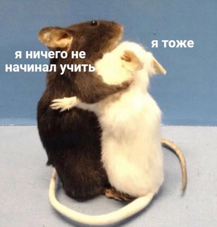 *мы бро?