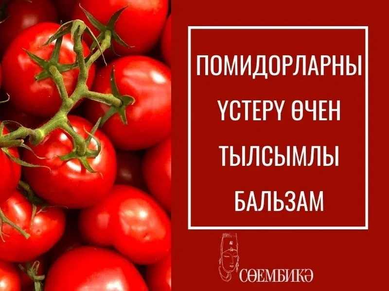 Саклап куегыз!