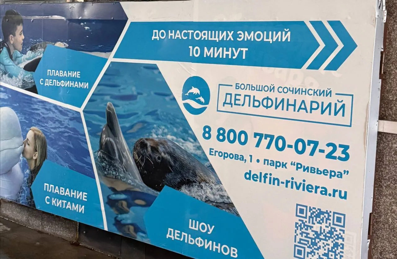 По дороге к морю мы с Аришей спустились в подземный переход. Пока поправляля шнурки, немного отстала