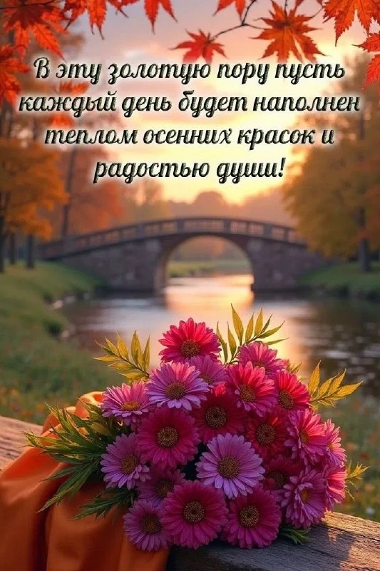 Открытки: подписаться ❤️