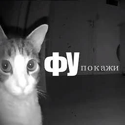 Вы, когда все вокруг говорят про выход демоверсии: