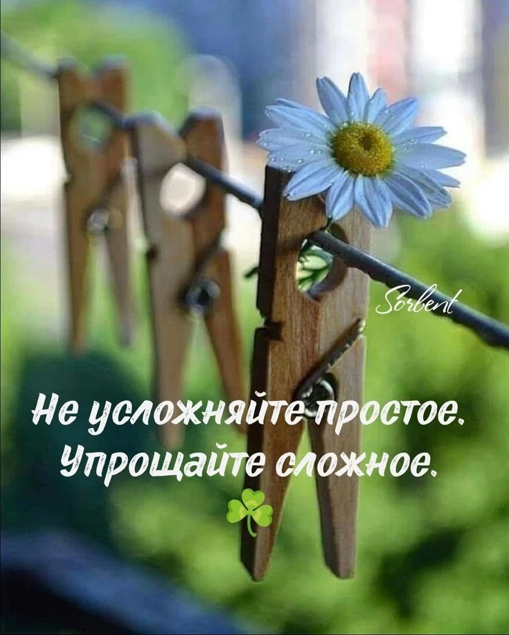 https://max.ru/invista123456
