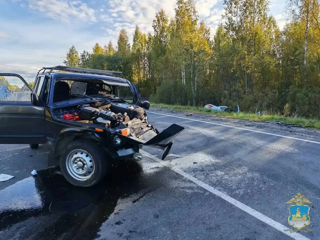 🚨 Мужчина погиб в ДТП в Шарьинском районе