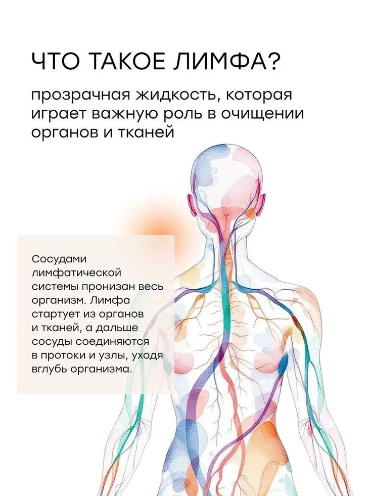 ✨ Почему важна работа с лимфой в массаже? ✨