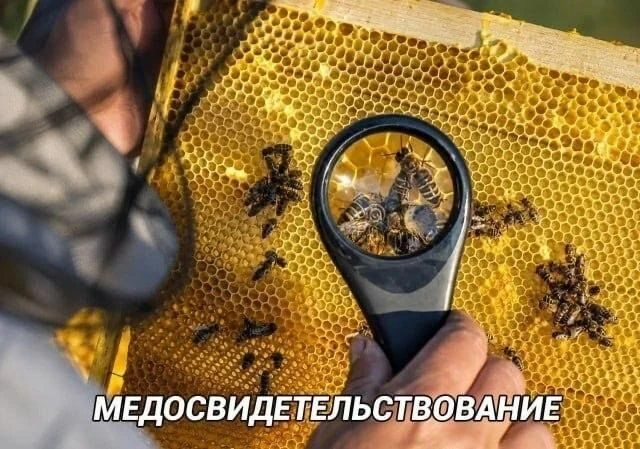 Ставь лайк! ❤️
