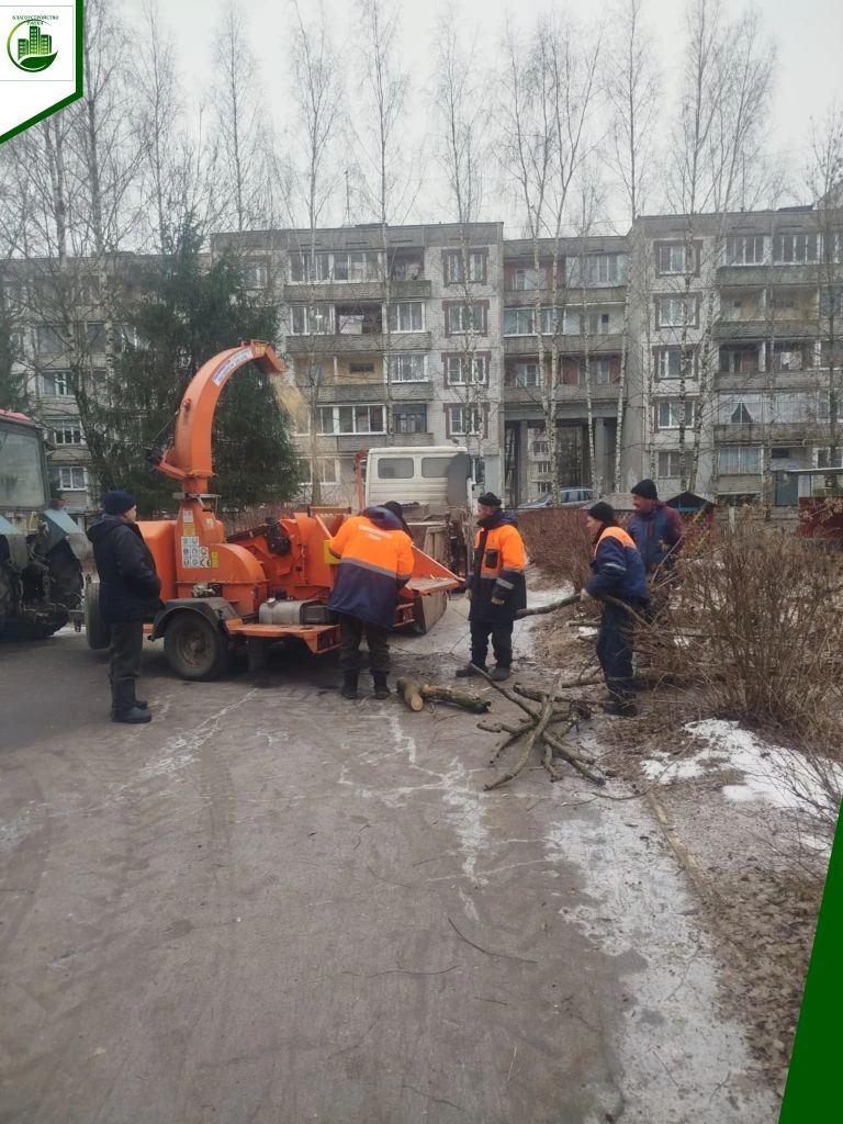 🌳Пока погода позволяет, мы активно занимаемся зелёными насаждениями. В работы входит кронирование д