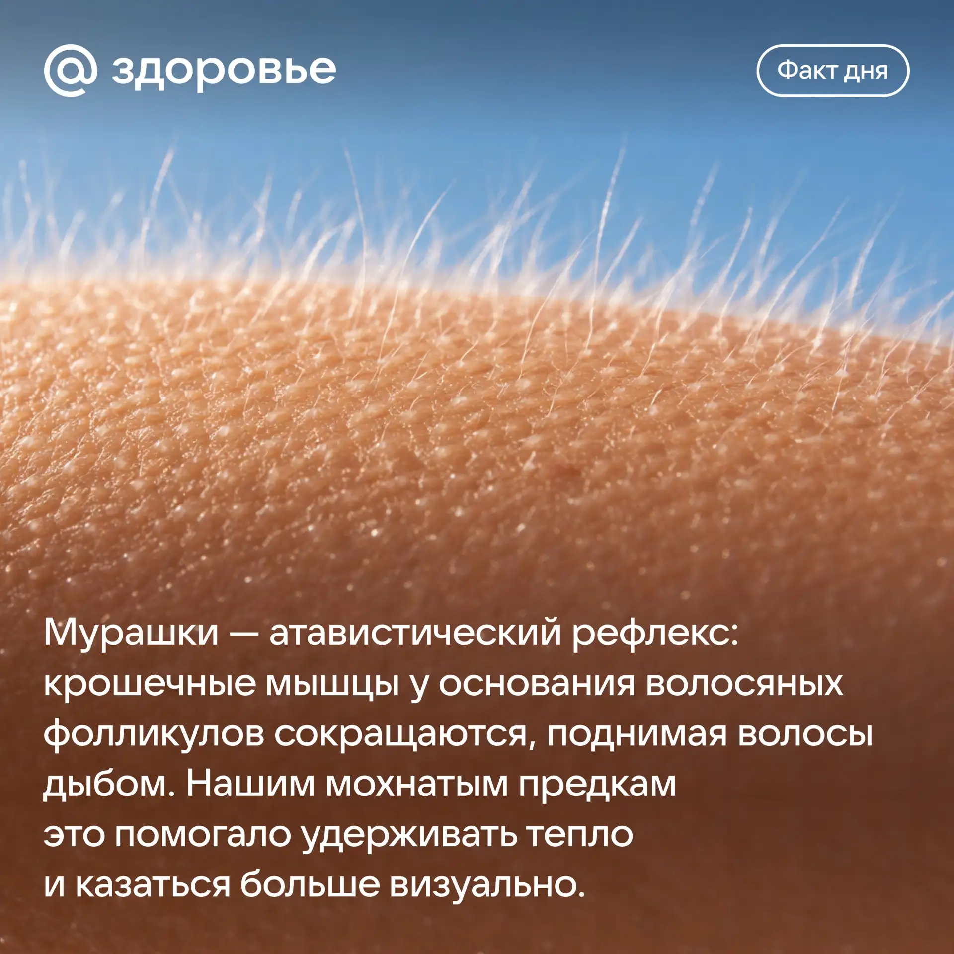 Хорошего дня! 🤍