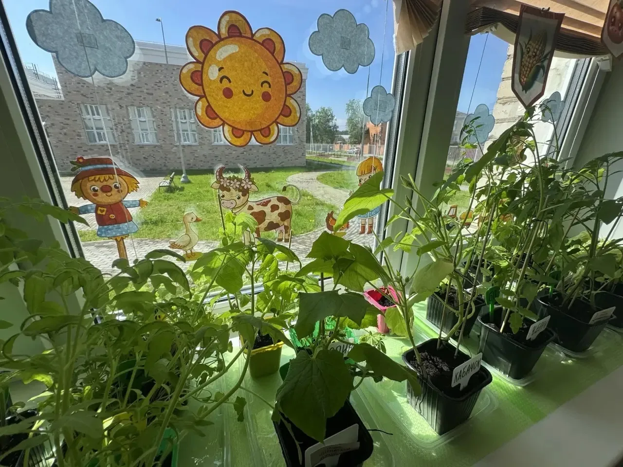 🌱У ребят из 3 «Г» класса на подоконнике ожил настоящий огород! 🌱Они решили провести эксперимент - мо