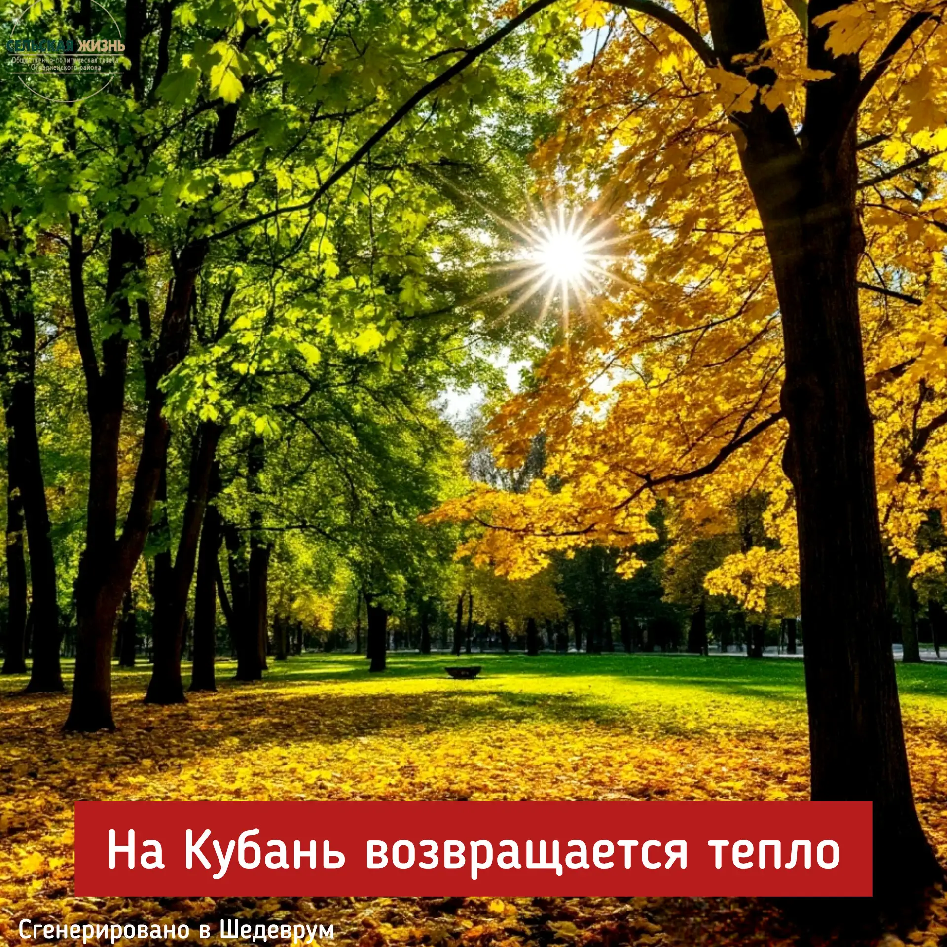 ☀️На Кубань возвращается тепло: к четвергу воздух прогреется до +28 градусов.