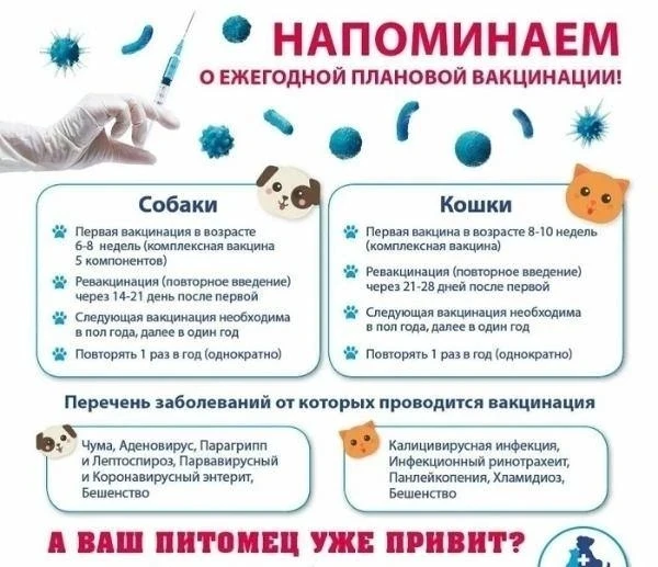 Напоминаем о ежегодной плановой вакцинации питомцев