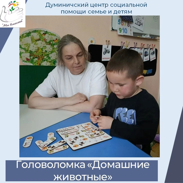 Сегодня мы играем в "Найди ряд", домашние животные.🐶🐷🐱