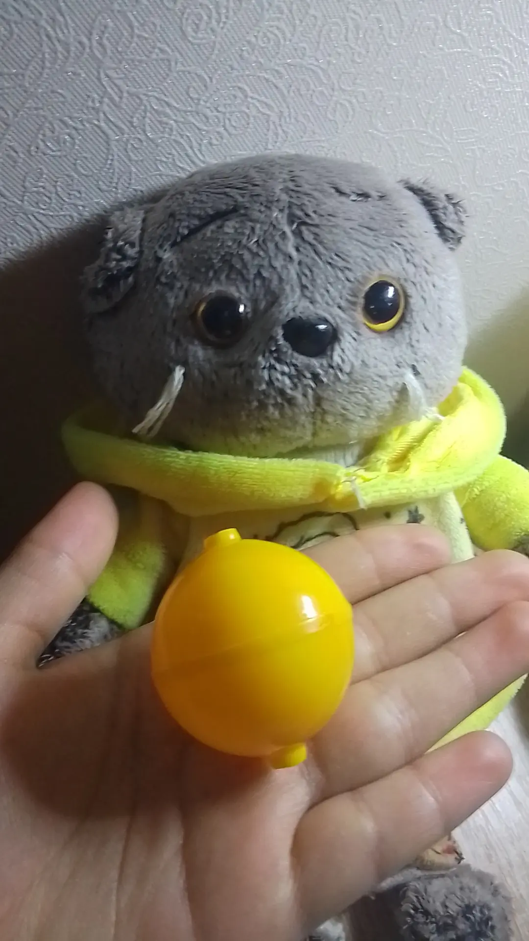 ~передает Бася~ Всем привет! я играюсь с мячиком🥰а мама делает уроки:(🤪