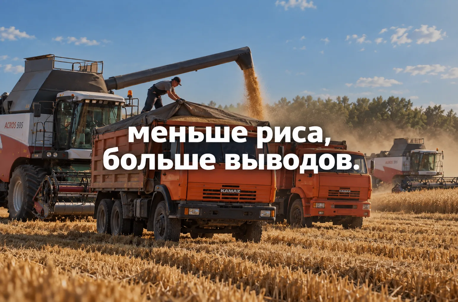 РИСОВОДАМ НЕ ДО УРОЖАЯ