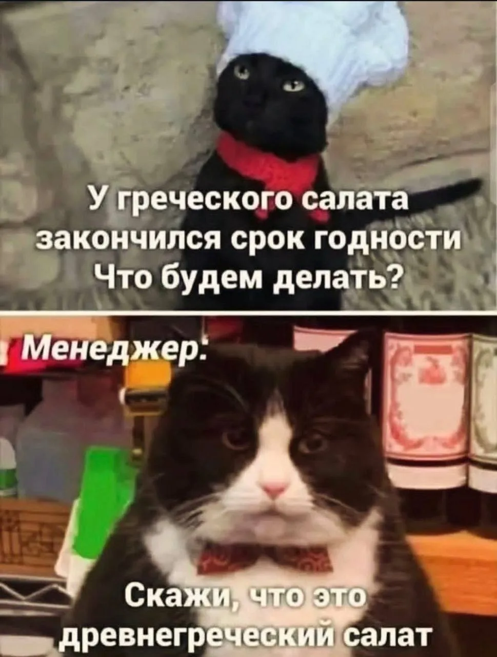 Главное - находчивость😂