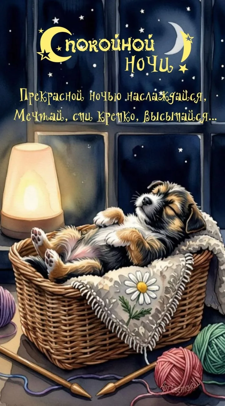 Спокойной ночи 🌙