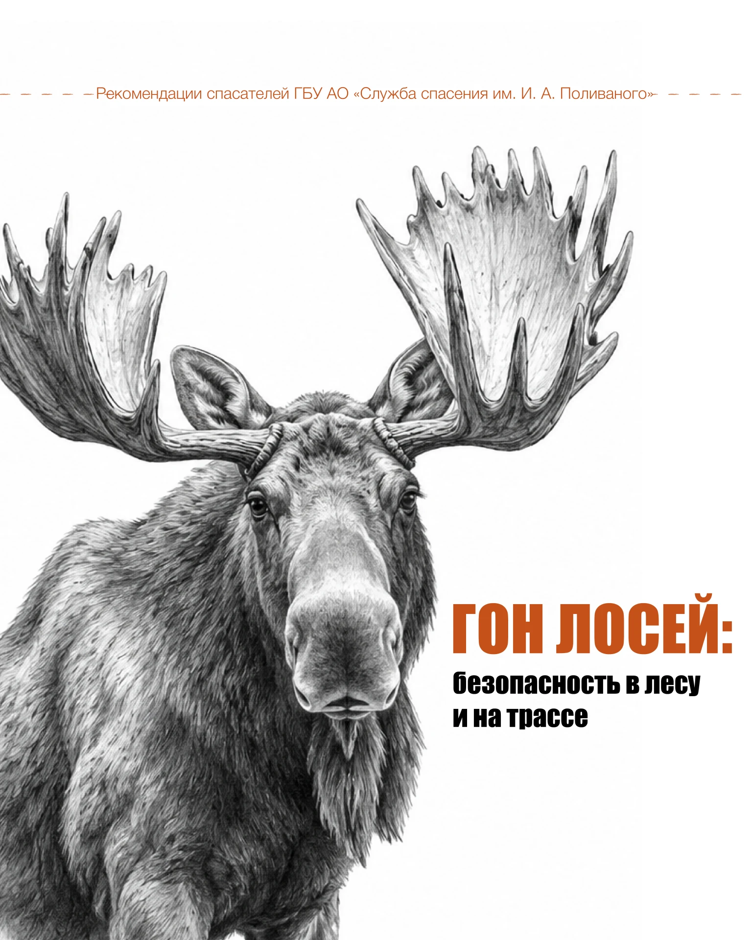 В нашем коллективе каждый может поделиться чем-то интересным и полезным.
