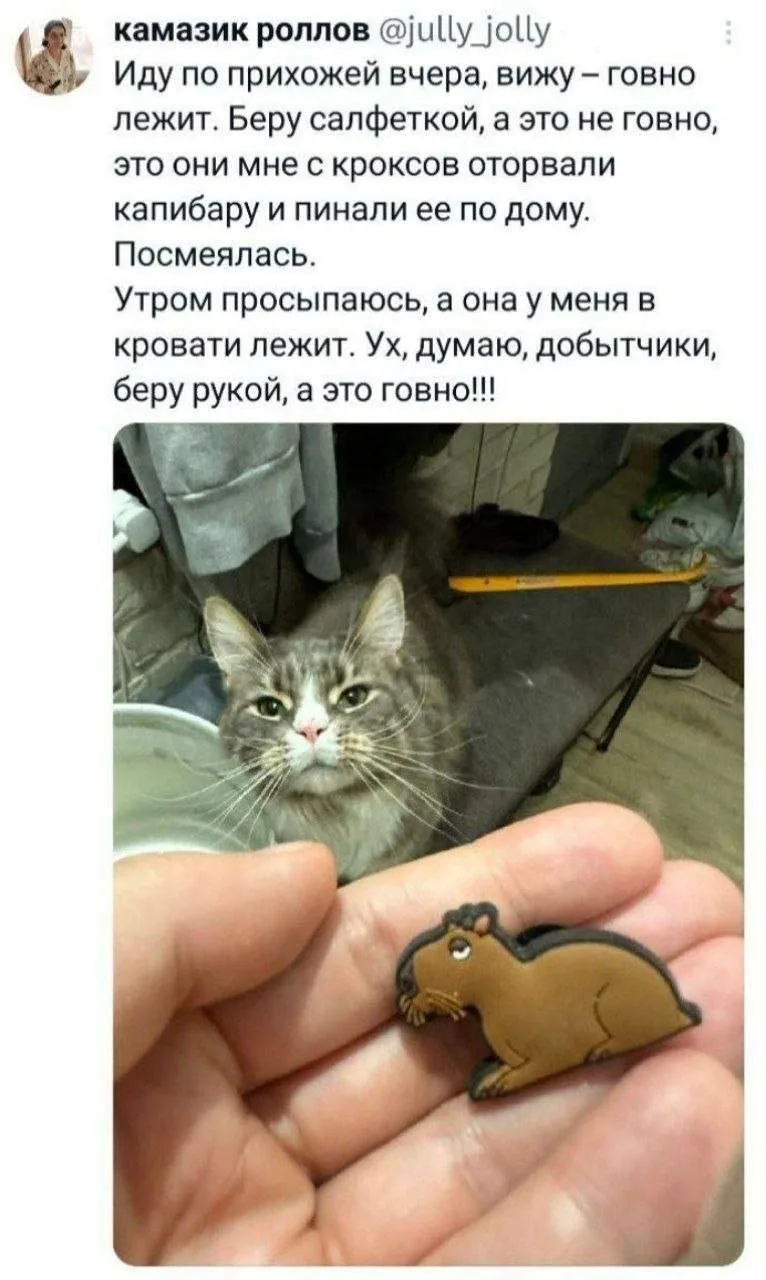 Один смех | в MAX