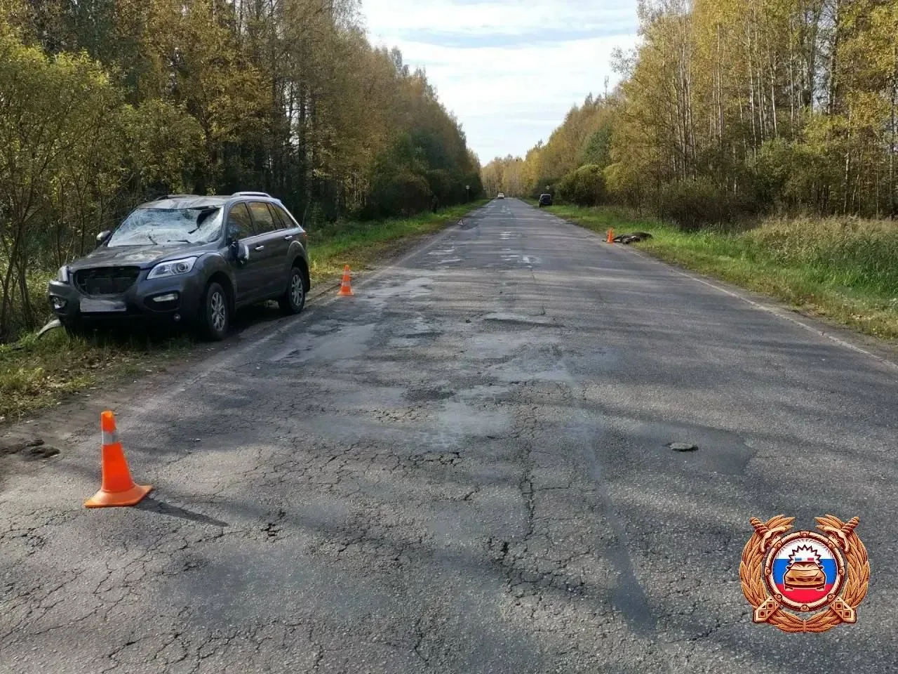 Лось спровоцировал серьезную аварию под Кашином