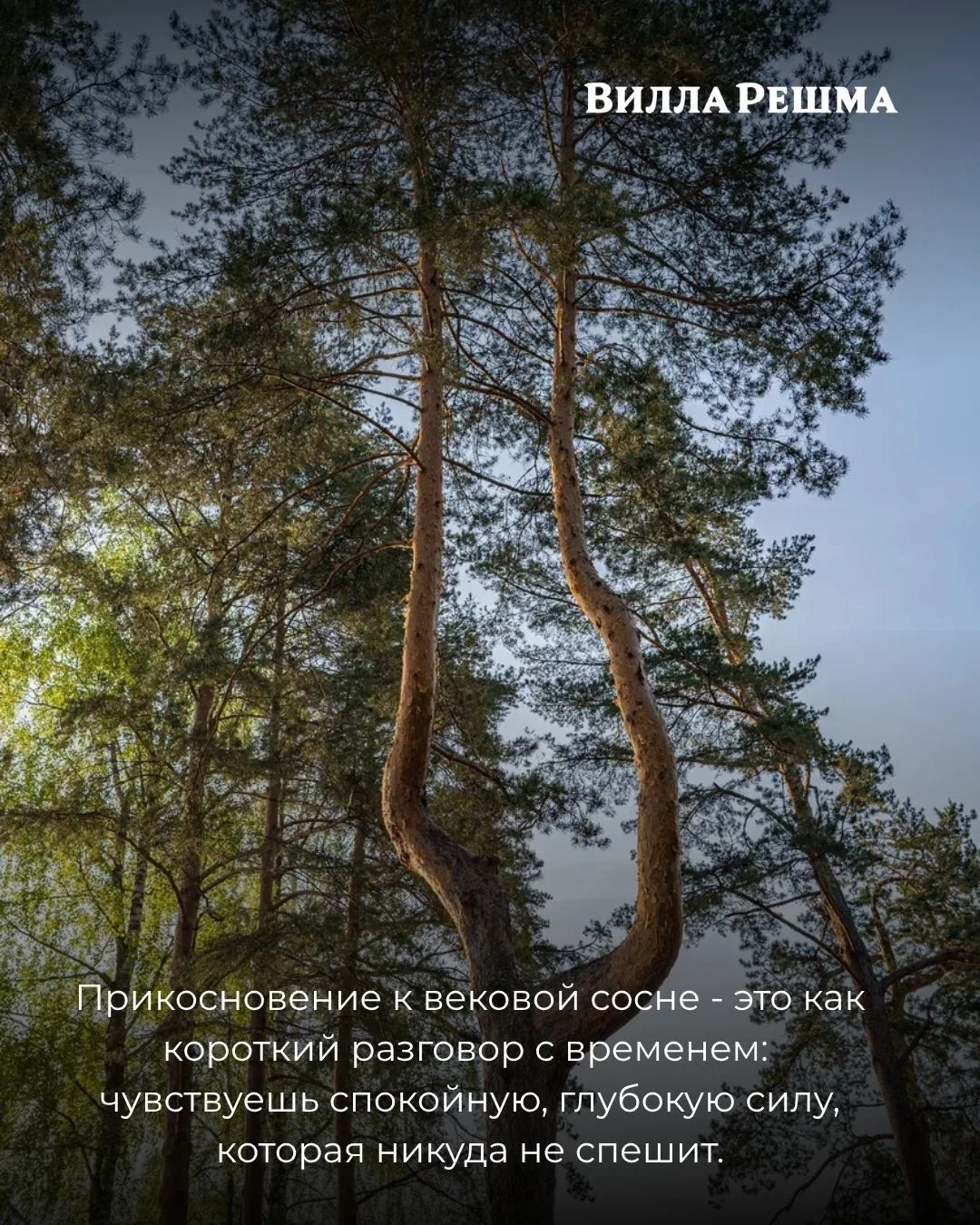 Иногда энергия места - это не что-то очевидное.