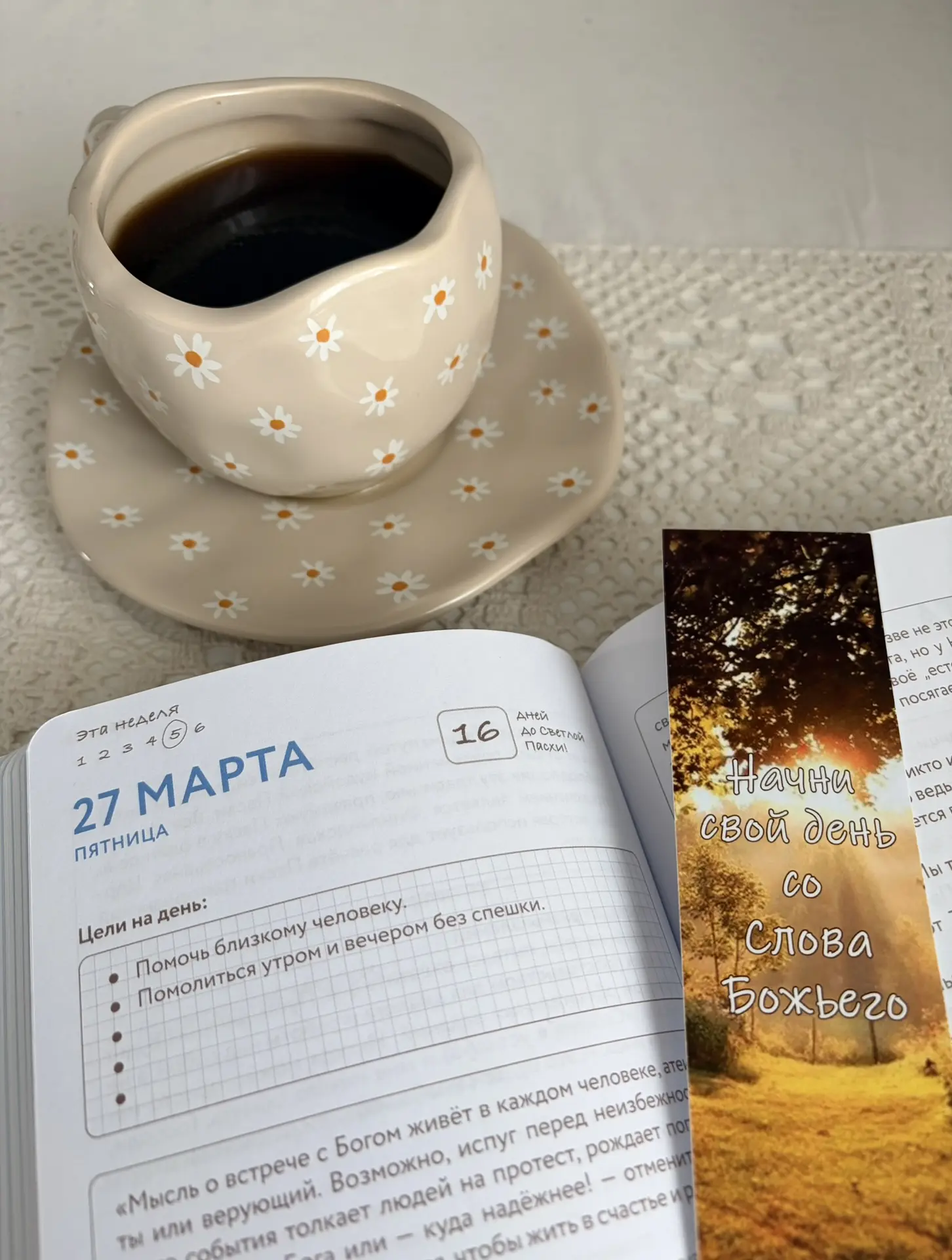 Всем отличного денечка, дорогие 🌞 🤗