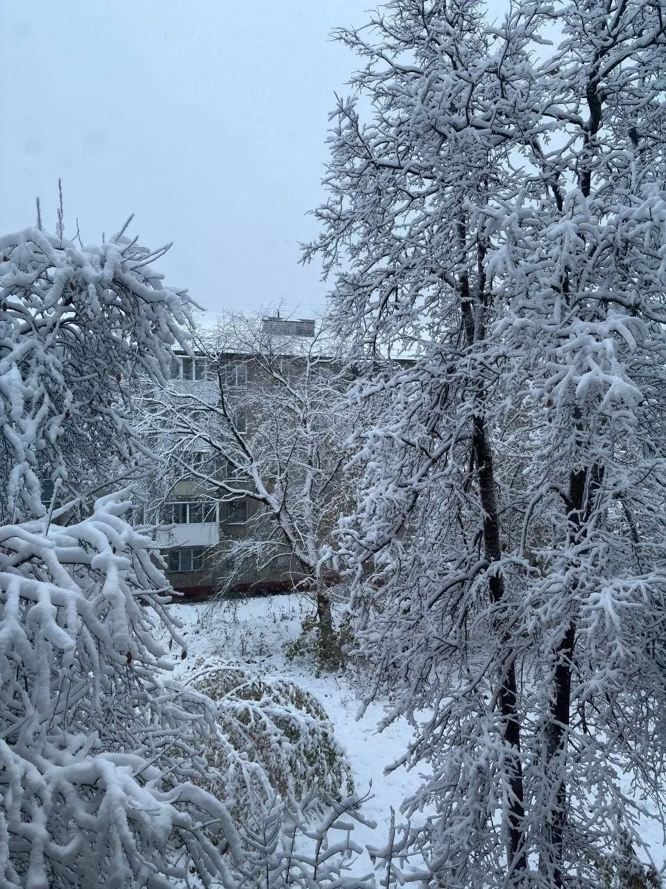 Жители Сатки и Златоуста делятся кадрами заснеженных улиц ❄️