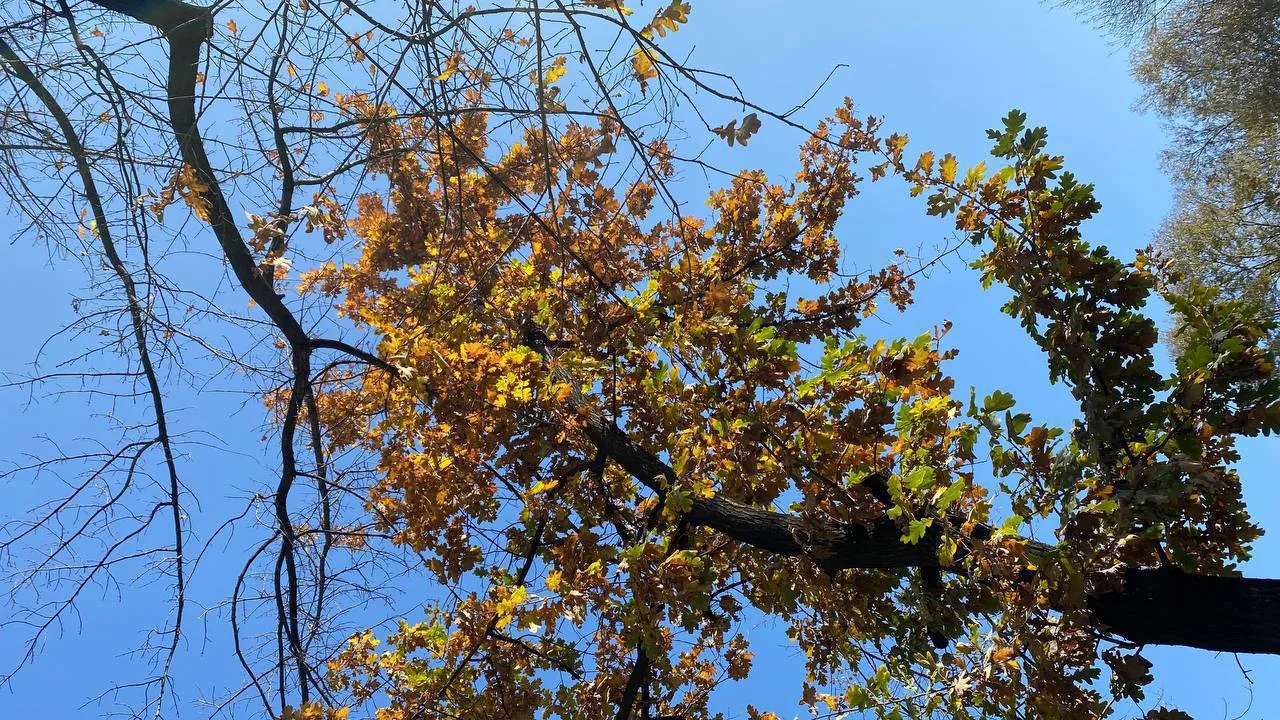 ☀️Доброе утро!☀️