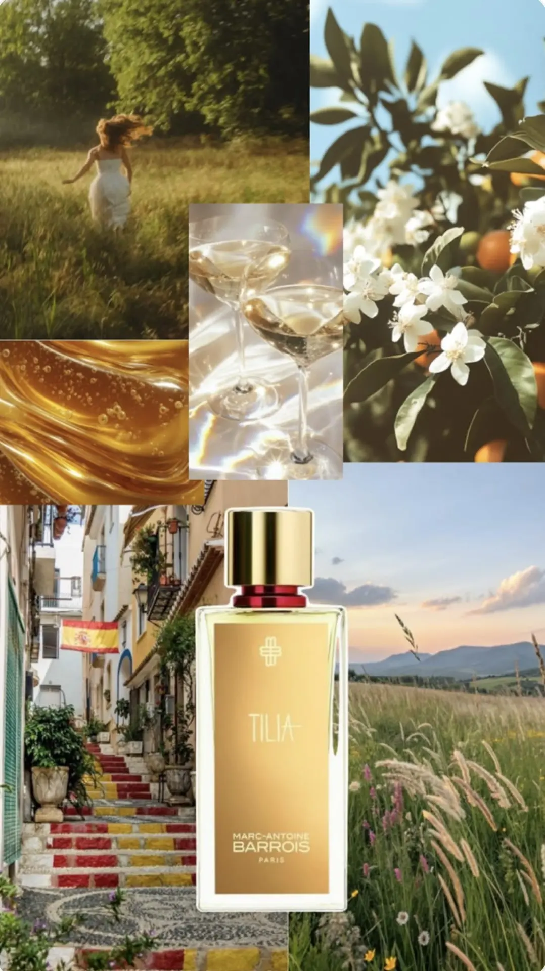 🌼TILIA🌼