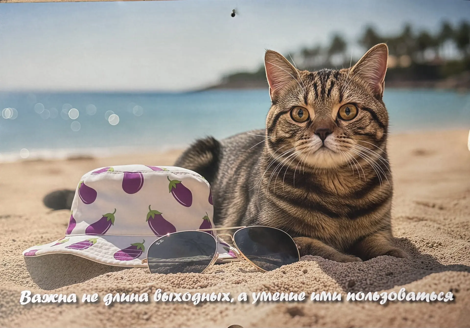 ЛЕТО УХОДИТ, но НАША ЗАБОТА ОСТАЁТСЯ!