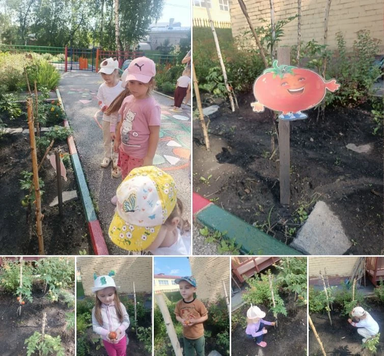 🍅 Урожайный день в группе «Орешки»!